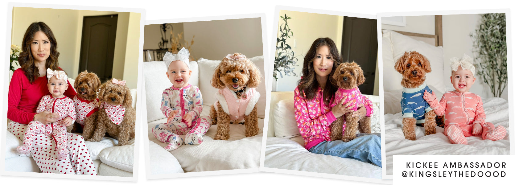 Dressing up your Dog is more than just cute, it’s good for the whole f