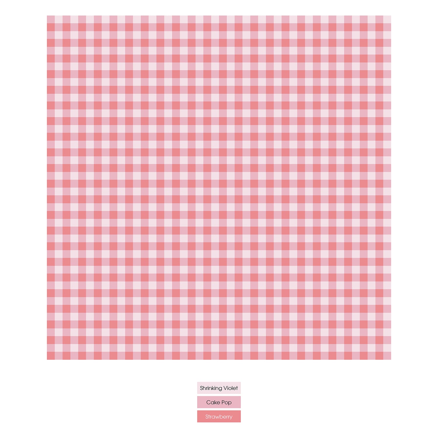 Women's Print Classic Brief in Cake Pop Gingham