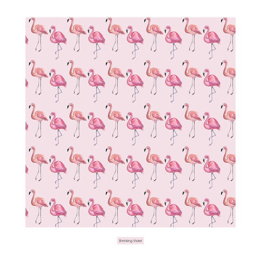 Print Shorty Sleeper with Zipper in Shrinking Violet Flamingo (378955)