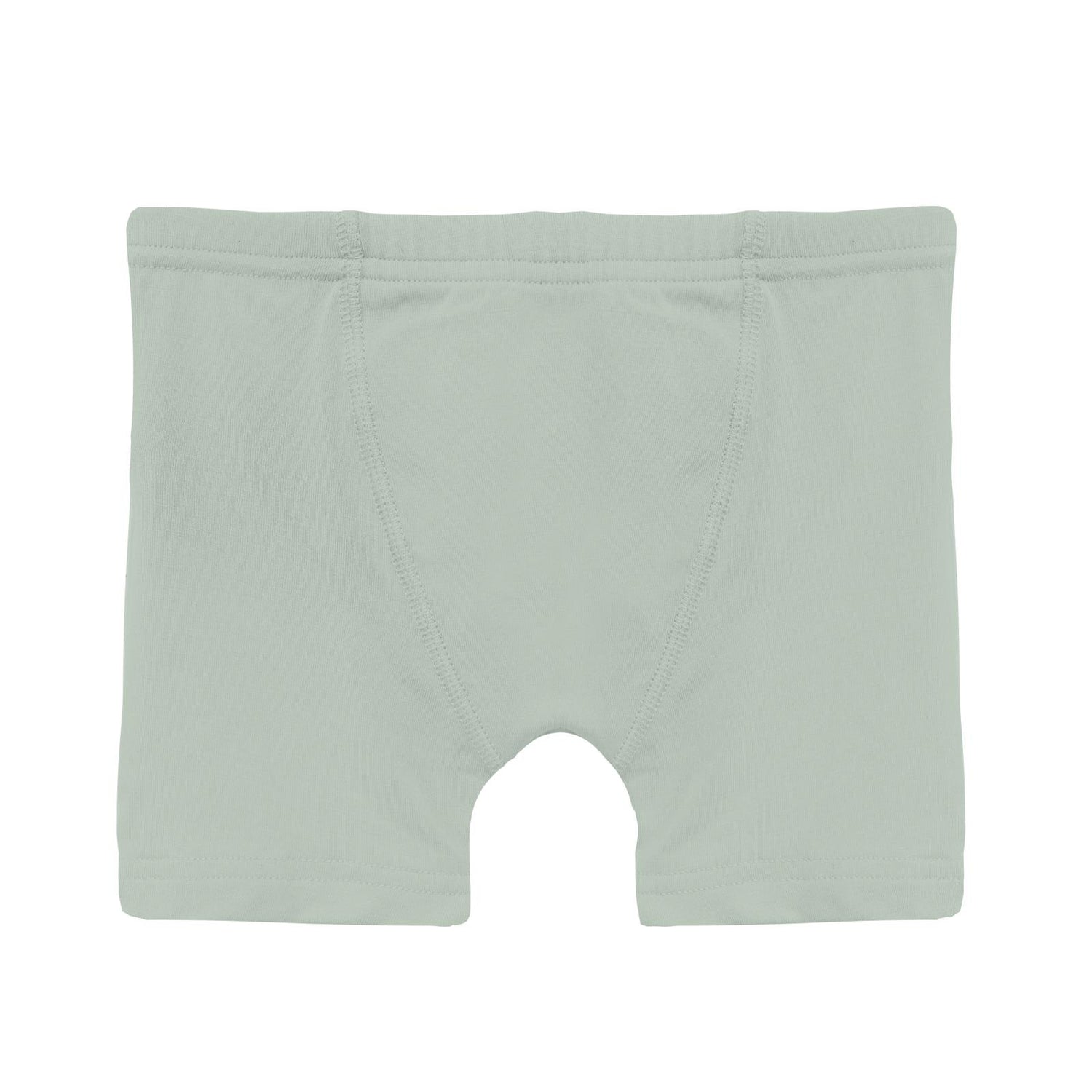 Boy's Boxer Brief in Aloe (353263)