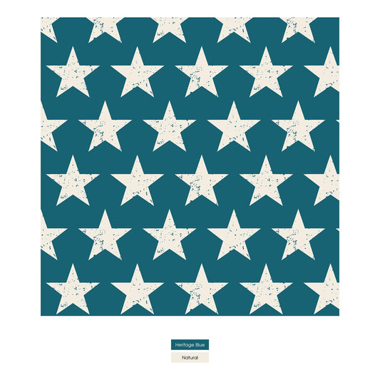 Print Footie with 2 Way Zipper in Vintage Stars (334860)