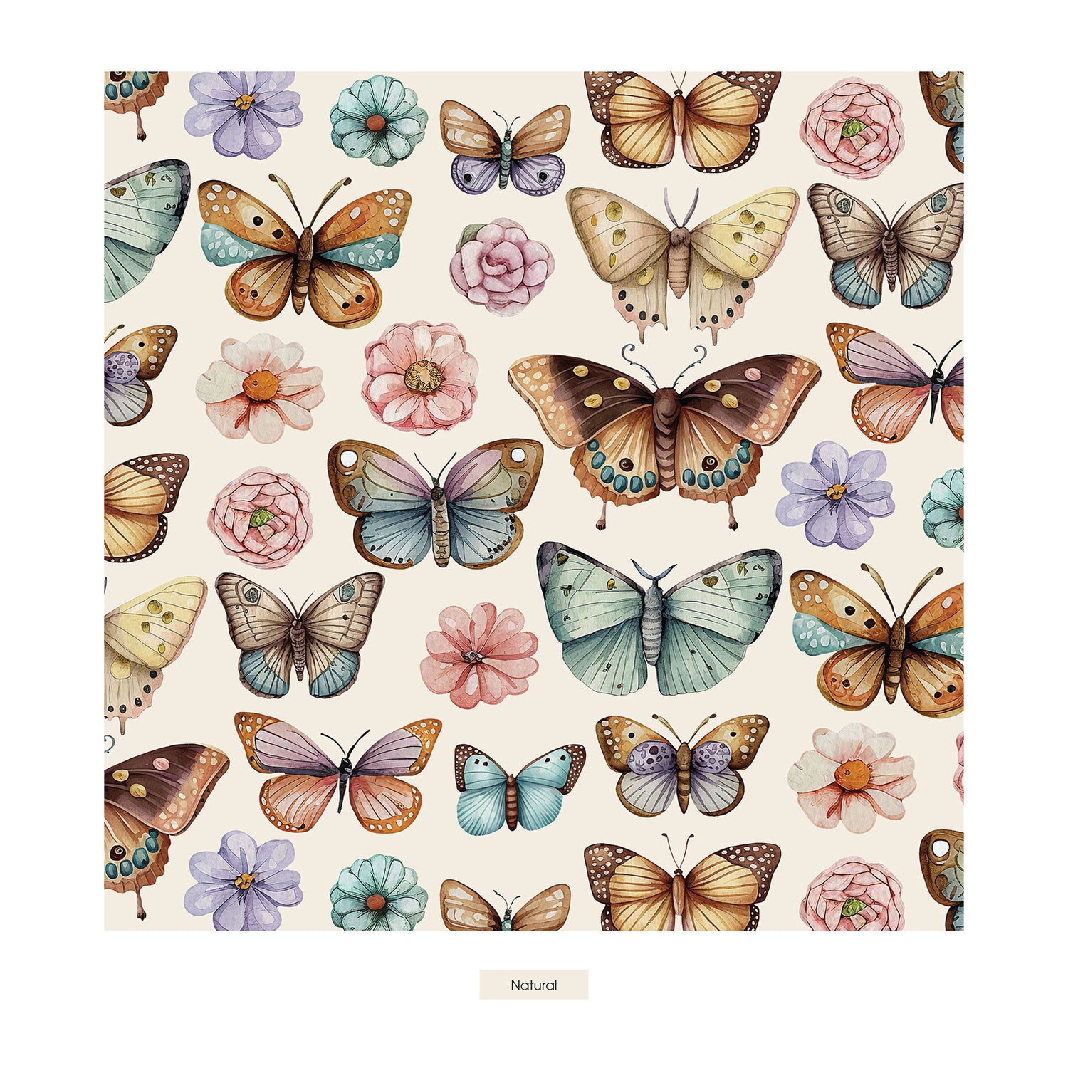 Print Girl's Underwear in Botanical Butterflies (378631)