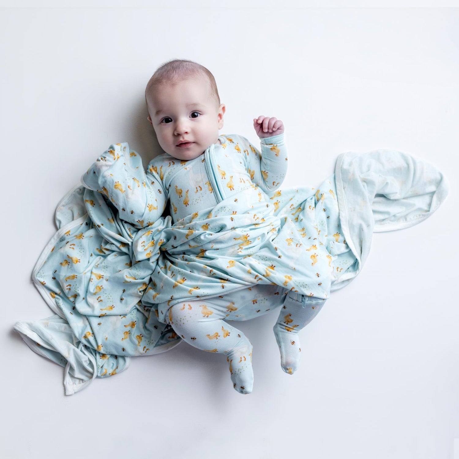 Print Footie with 2 Way Zipper in Spring Sky Feeding Ducks (359837)