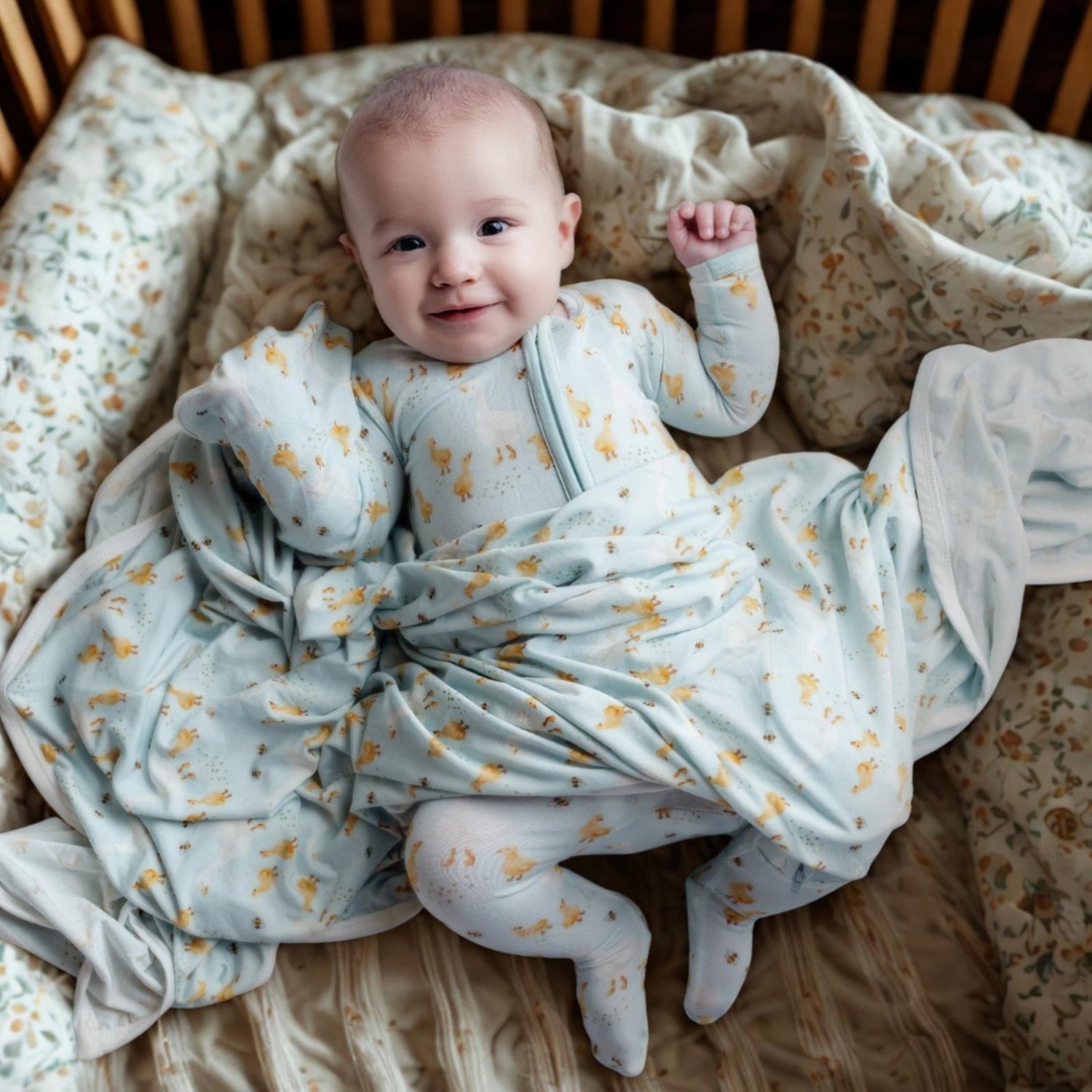 Print Footie with 2 Way Zipper in Spring Sky Feeding Ducks (365343)