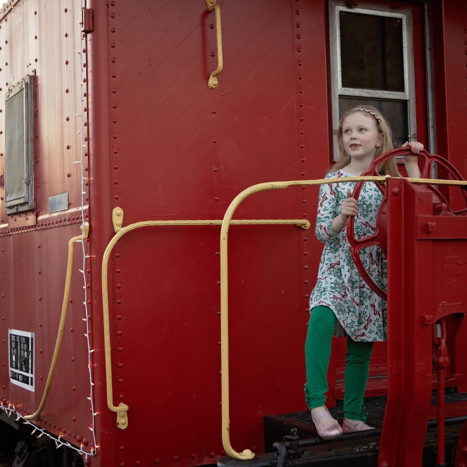Print Long Sleeve Twirl Dress with Pockets in Illusion Blue Mistletoe & Ribbons (341172)