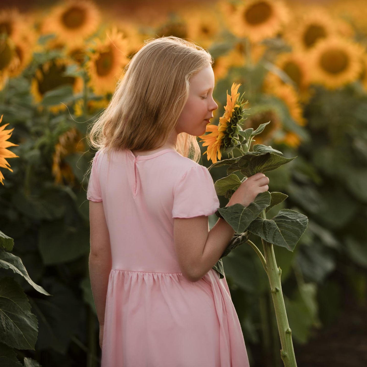 Flutter Sleeve Twirl Dress with Pockets in Cake Pop (373229)