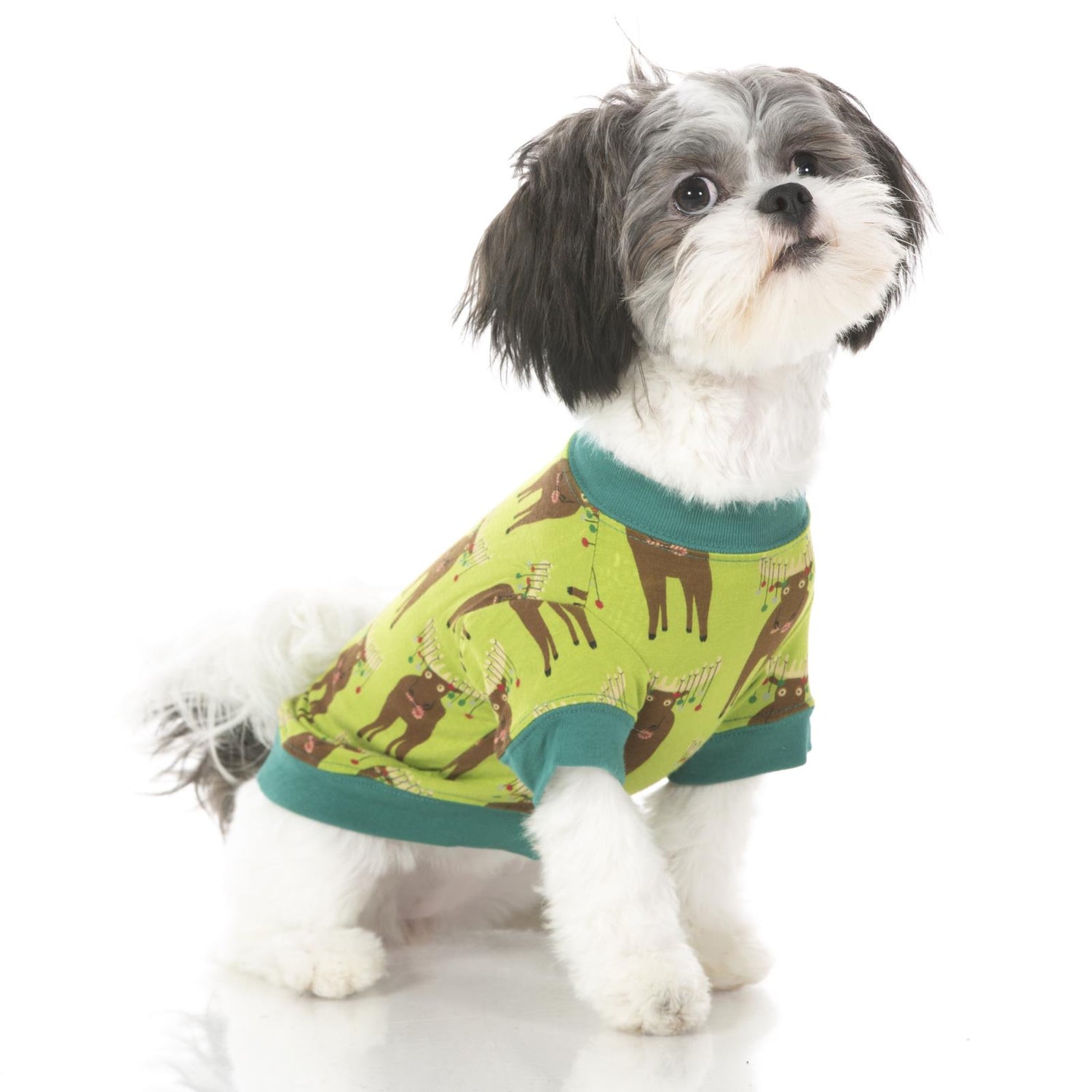 Print Dog Tee in Meadow Bad Moose