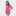 Women's Collared Pajama Set with Shorts in Flamingo with Tamarin Trim